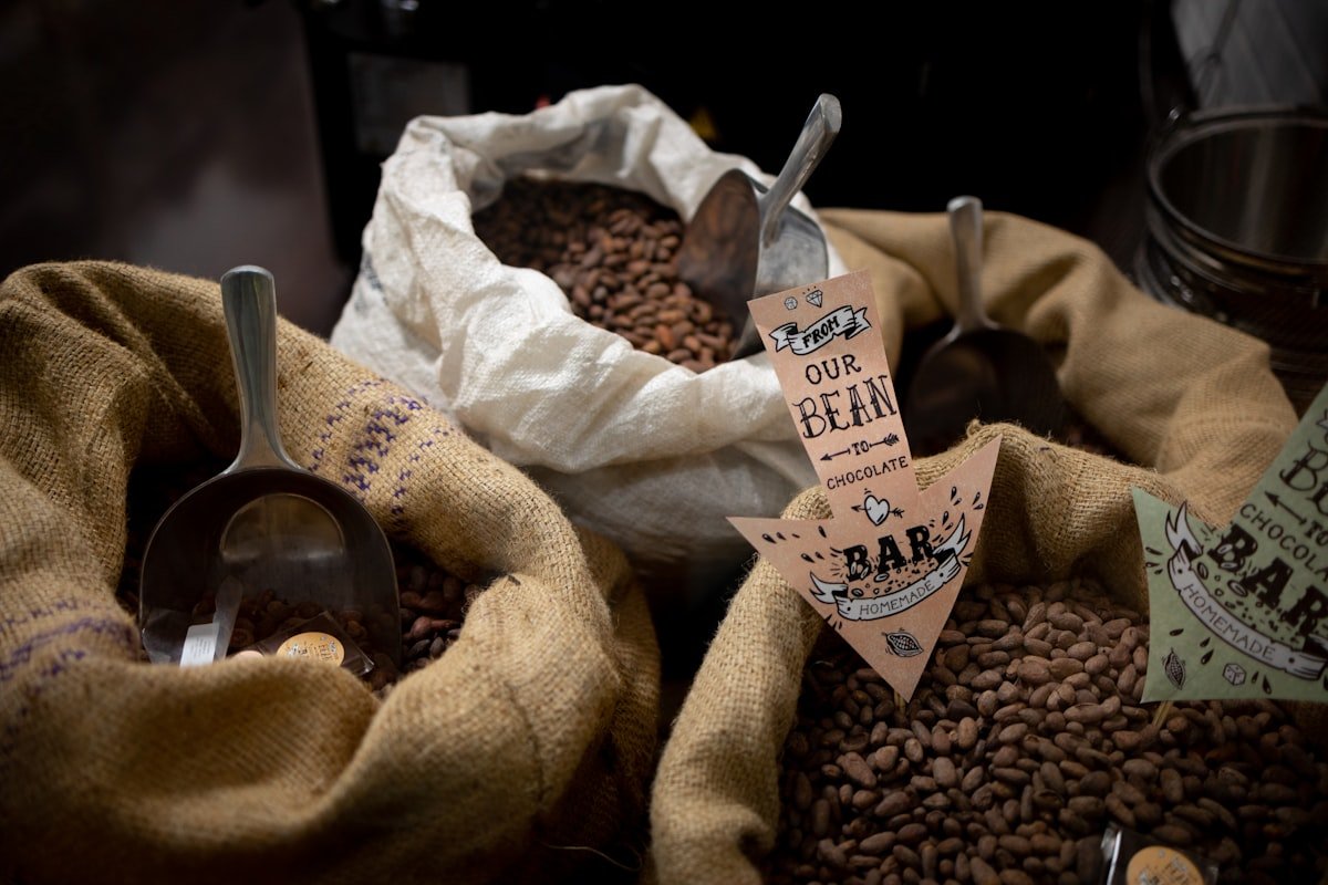 Open commodity bags filled with cocoa beans for bulk supply