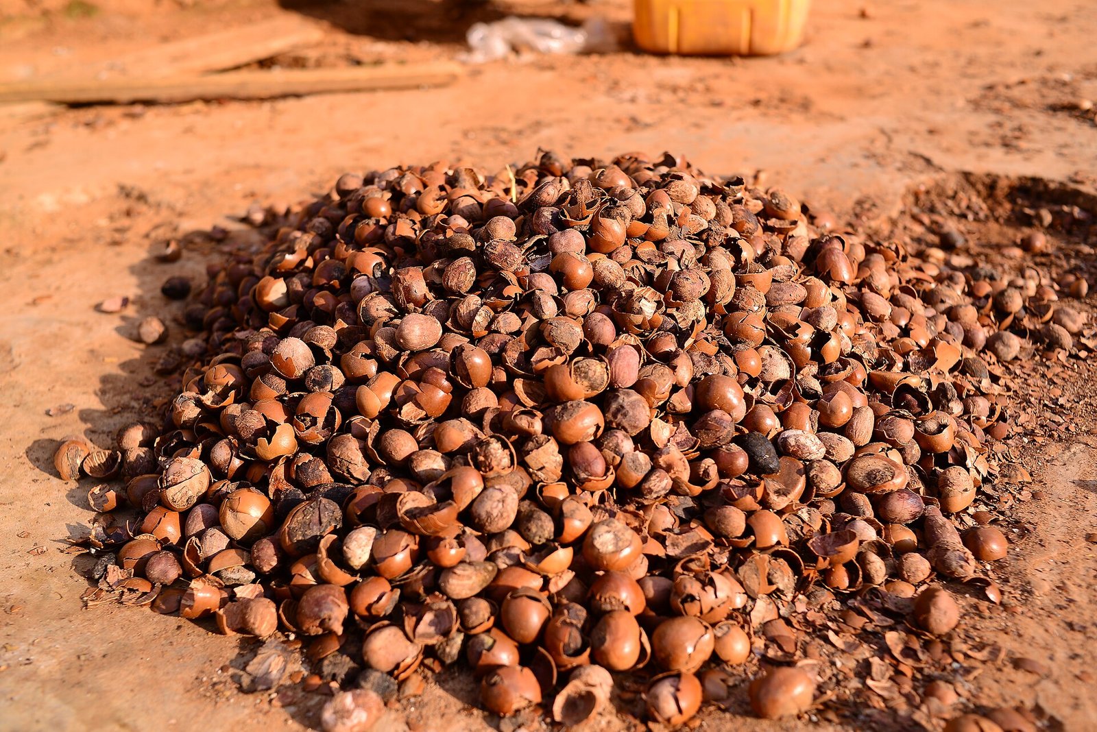 Raw shea nuts sourced from Northern Ghana